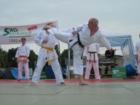 Bilder_2013 (9)